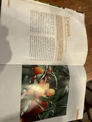 A book about some of their ingredients   at Le Champ du Vagabond in Briancon