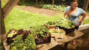 Govinda´s gardens at Govinda's Restaurant in Moundsville