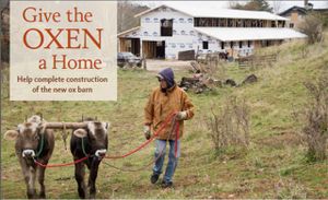 New Vrindaban at Govinda's Restaurant in Moundsville