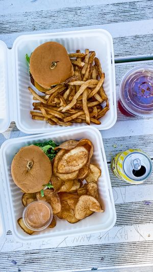 Lentil burgers and fries  at Sealevel City Vegan Diner in Wilmington