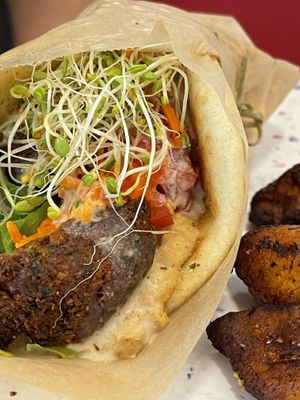 Mediterranean Pita w/ side of Plantains   at Sealevel City Vegan Diner in Wilmington
