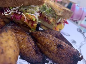 Fried plantains!  at Sealevel City Vegan Diner in Wilmington