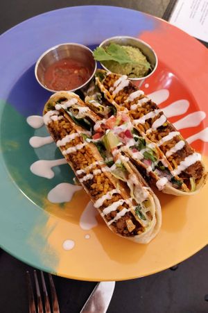 Crunch wrap special at Sealevel City Vegan Diner in Wilmington