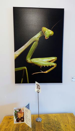  at Sealevel City Vegan Diner in Wilmington