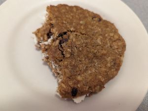 OCP. Oatmeal Cream Pie at Sealevel City Vegan Diner in Wilmington