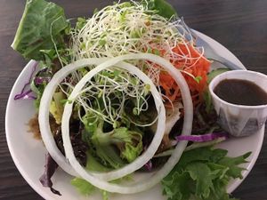House salad with miso balsamic dressing at Sealevel City Vegan Diner in Wilmington