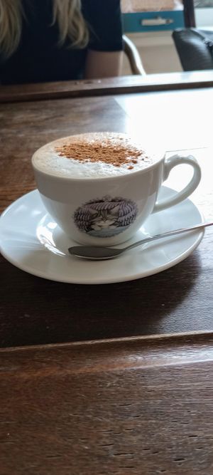  at Bystrokočko in Ceske Budejovice