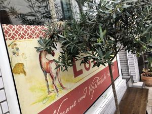 outside at LoLu in Duisburg