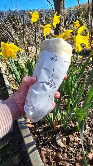 Crispy vegan wrap take away at Tasty Bruges in Bruges