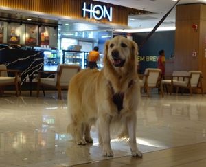  at Hon Café & Work in Manaus