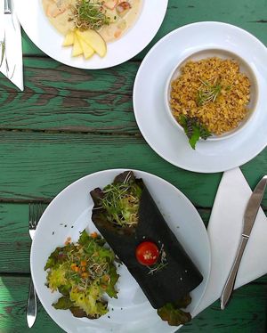 raw green wrap at Dancing Shiva Superfoods in Vienna