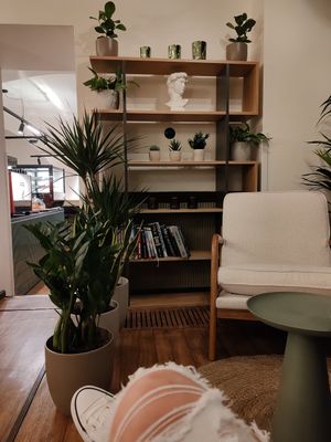 Beautiful spot with lots of flowers 🍀 at Al Ponte Prague in Prague