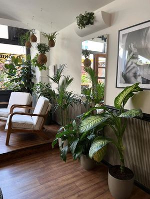  at Al Ponte Prague in Prague