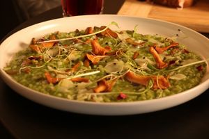 *vegan option Italian risotto with mushrooms, Gran Vegiano "cheese" at Al Ponte Prague in Prague