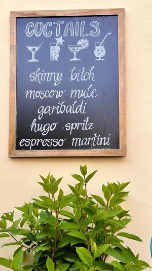  at Al Ponte Prague in Prague