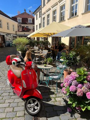 Our beautiful and peaceful outdoor seating at Al Ponte Prague in Prague