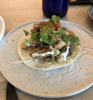 Yummy Mushroom Taco  at PLANTA Cocina in Washington