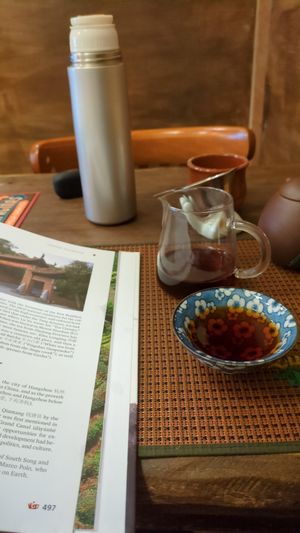 Ripened Pu'ehr tea at Interior de Té in Barcelona