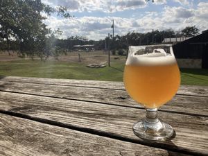 View from beer garden  at Jester King in Austin