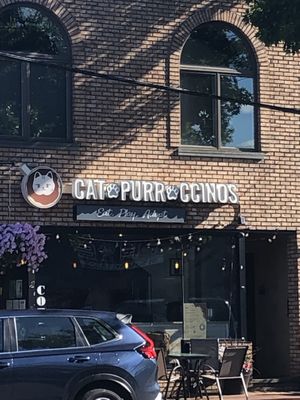 Front door   at Catpurrccinos in Huntington