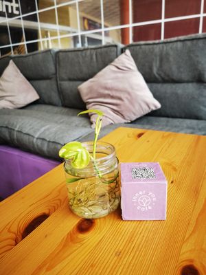  at inner you vegan in Tenerife