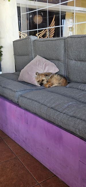  at inner you vegan in Tenerife