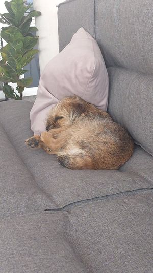  at inner you vegan in Tenerife