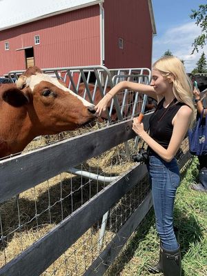 Residents at Barn Sanctuary at Barn Sanctuary in Chelsea