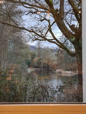 Blick auf den Tabaksweiher, selbst im trüben Winter schön! at Tabaksmühle in Saarbrucken