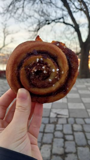 vegan kanelbulle 49kr≈4,40€ at Happy Atelier in Stockholm