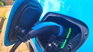 EV Charging available (7kW, 35p / kWh) at The Wildflower Retreat Vegan B&B in Tipton St John