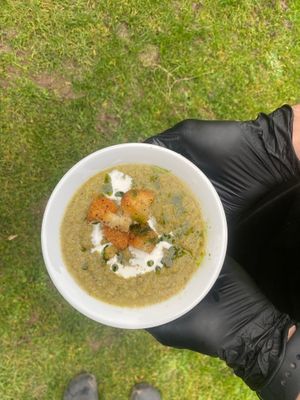  at Wild Seed Kitchen in Rochester