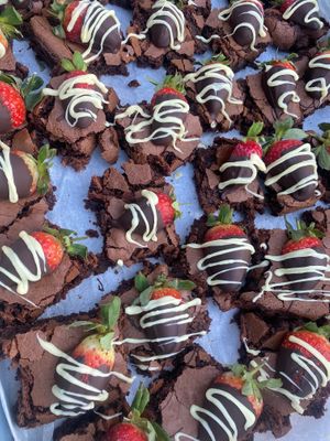  at Wild Seed Kitchen in Rochester