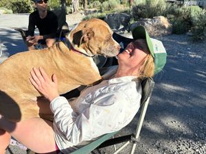Camping trips are dog friendly at Vegan Basecamp in Las Vegas