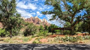 Zion National Park camping site at Vegan Basecamp in Las Vegas