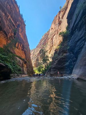  at Vegan Basecamp in Las Vegas