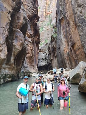  at Vegan Basecamp in Las Vegas