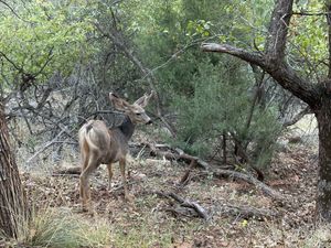   at Vegan Basecamp in Las Vegas