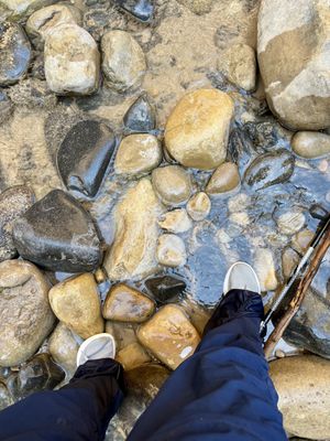   at Vegan Basecamp in Las Vegas