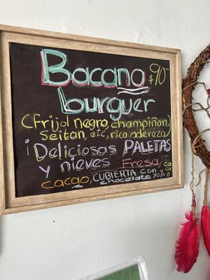   at Bocaflor in Chihuahua