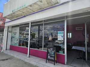  at Bocaflor in Chihuahua