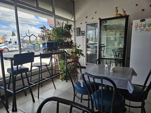  at Bocaflor in Chihuahua