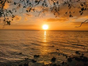Sunset at The BeeHive Driftwood Cafe in Camiguin