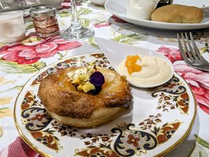 Delicious apricot and almond tart with almond cream at The Animal Rescue Vintage Tea Room @ Heath - Pop-up in Chesterfield