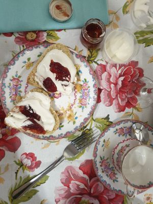  at The Animal Rescue Vintage Tea Room @ Heath - Pop-up in Chesterfield