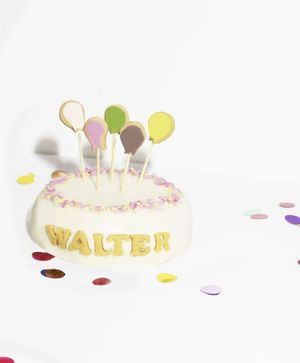  at The Happy Dog Bakery in Brighton