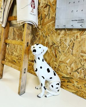 Meet Iró! We are Pet friendly! Please bring your friends :) at Anguilla Surf Café in Melides