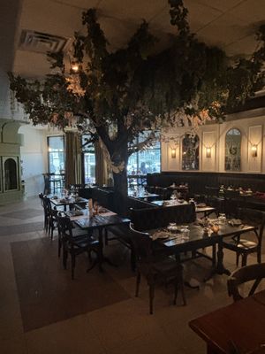   at The Plantry Café in Baton Rouge