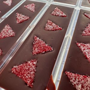 Rhubarb Spruce Tip with Rhubarb Fruit Leather at Wildland Chocolate - Pop Up in Anchorage