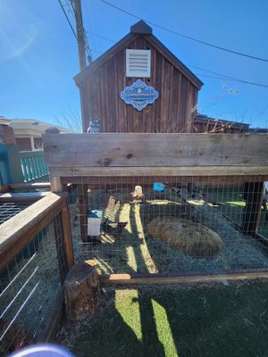 Outside at CommonWealth Coffeehouse & Bakery in San Antonio